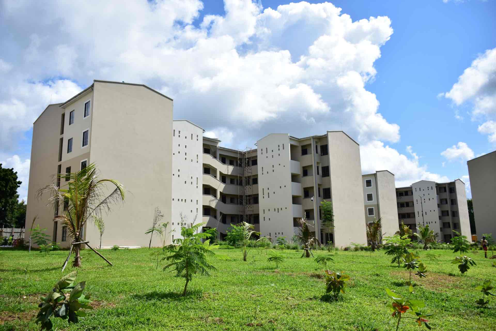 https://vipingodevelopment.com/wp-content/themes/vipingo/images/webp_images/why_vipingo.webp